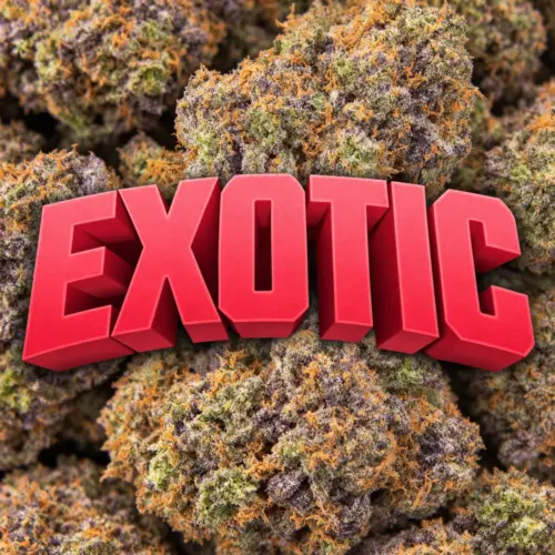 Exotic